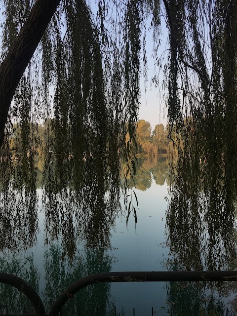 Lago dei Cigni