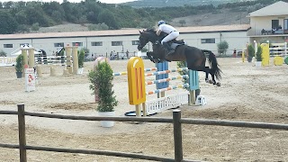 Club Ippico Equestrian A.s.d.