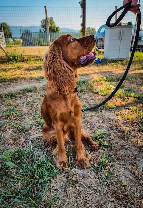 Centro Cinofilo L'Essenza del Cane A.S.D.