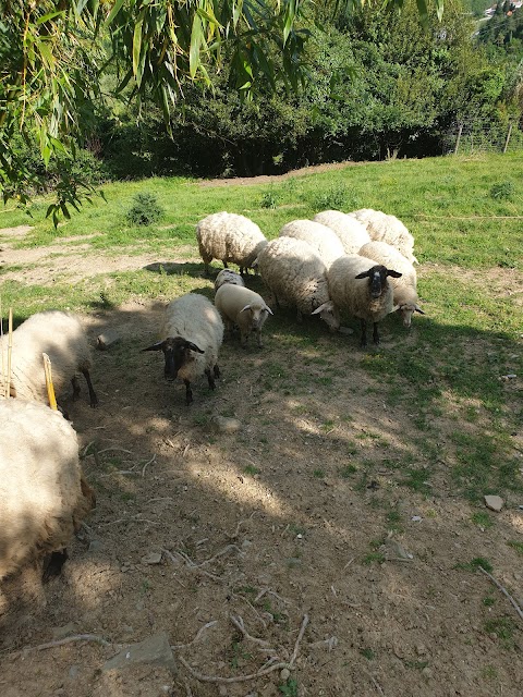 Agriturismo La Torruccia