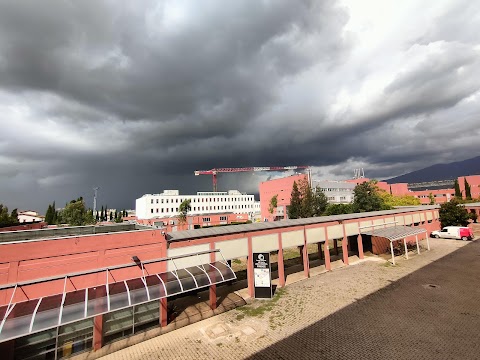 Istituto di Fisica Applicata Nello Carrara