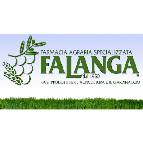 Falanga Pet&Garden