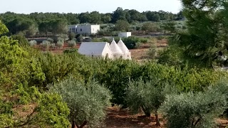 B&B Masseria Nardelli