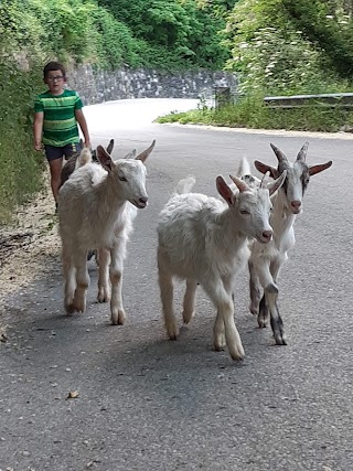 Agriturismo Il Vecchio Ospitale