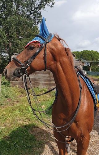 ASD Luisana Horse Riding