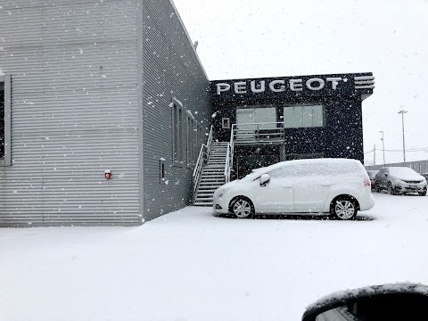 Contauto Due Peugeot - Citroën