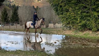 Maneggio scuola pony e cavalli Francy Manca Team