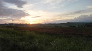 La Collina del Pane az. ag. Scuderi