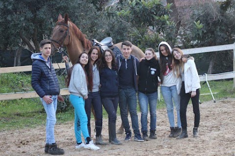 A.S.D. Horsesense Italia Scuola di Equitazione