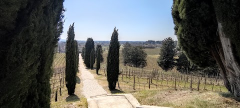 Sentiero delle Vigne Alte