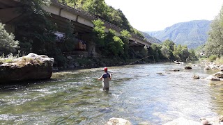 Baldo Trasporti Internazionali (S.P.A.)