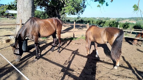 Agriturismo il Poggio