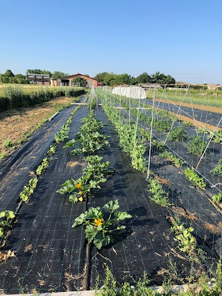 Azienda Agraria IIS Antonio Zanelli