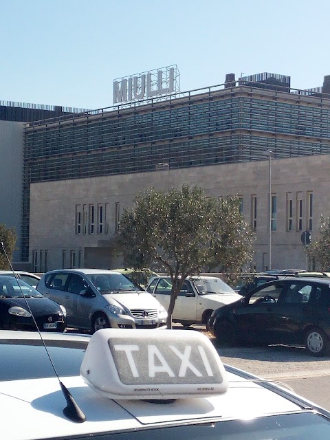 TAXI - Andria (Castel del Monte)