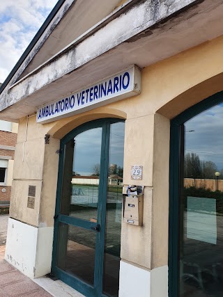 Ambulatorio Veterinario Associato Dr. I.Pesci e Dr. M.Tralli