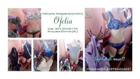 Merceria Ofelia Abbigliamento Intimo e Hobby femminili