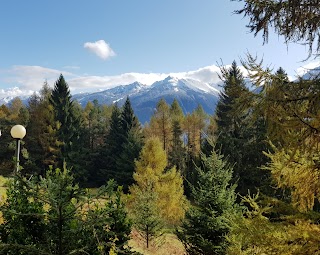 Agriturismo La Piana