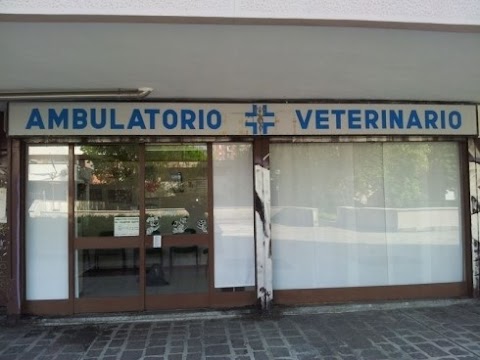 Ambulatorio Veterinario Gatti Di Gatti Dr. Claudio