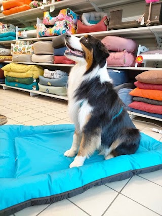 Robinson Pet Shop - Forlì Viale Italia