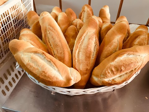 Panetteria Di Molica Franco Maria