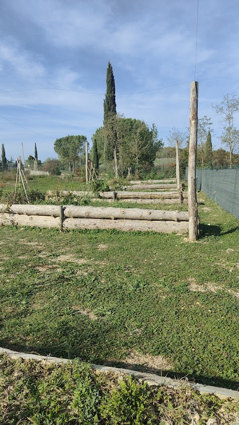 Piscina ValleChianti