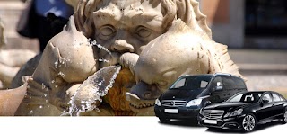 Top Tour of Italy - private rome & italy tours in limo