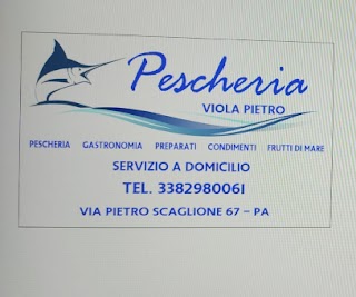 Pescheria Viola Pietro