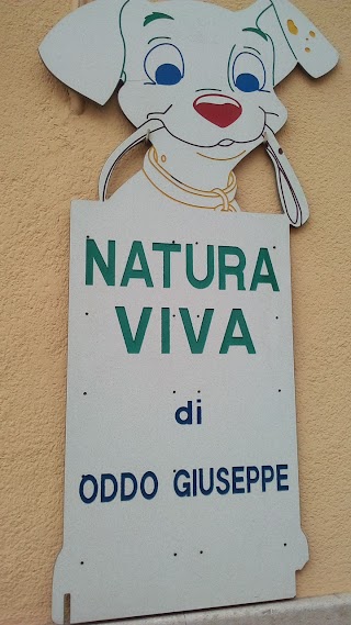 Natura Viva