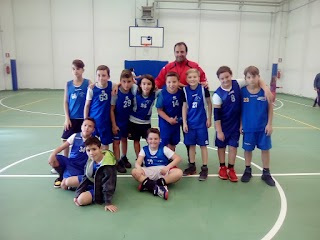 A S D Campofiorito Basket