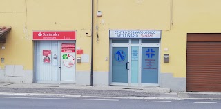 Centro Dermatologico Veterinario Toscano