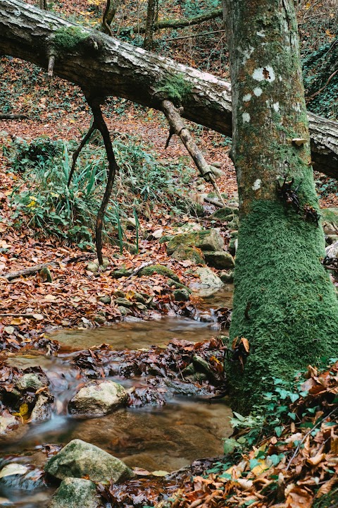 Cascate del Tassaro