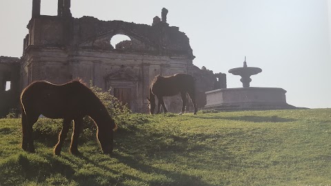 Università degli Studi della Tuscia - Dipartimento di Scienze ecologiche e Biologiche DEB