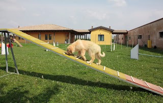 Il Giardino Del Duca