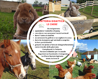 Società agricola Le Chere - fattoria didattica