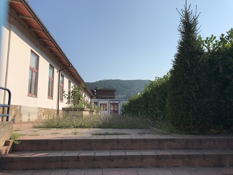 Scuola Primaria La Briglia