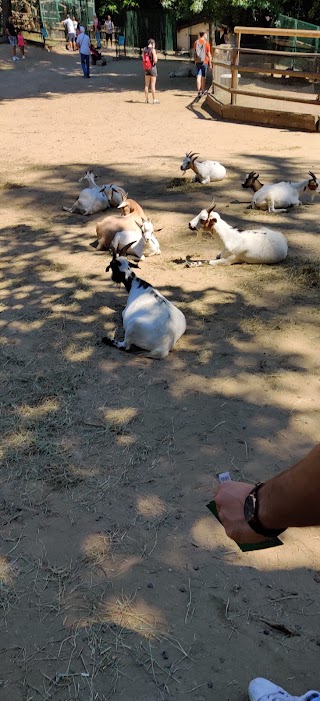 Impresa Di Pulizie Magica Di Campesan Giada