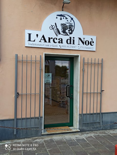 L' Arca Di Noè