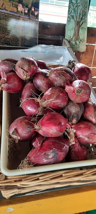 Azienda Agricola Scarlassara Natalino