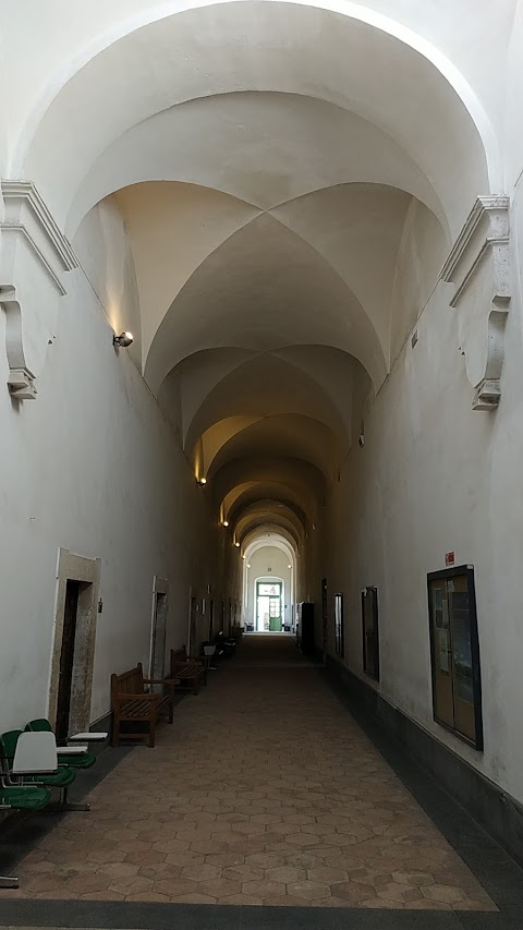 Università degli Studi di Catania