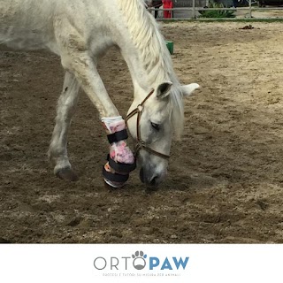 OrtoPaw protesi e tutori su misura per animali