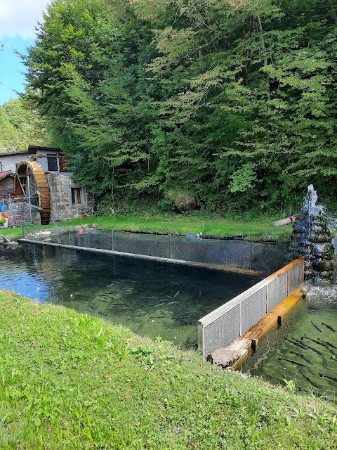 Ristorante Alla Peschiera