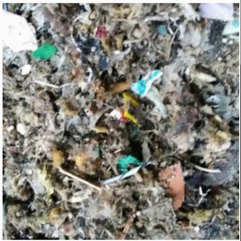 World Recycling - Smaltimento Rifiuti Toscana Lucca