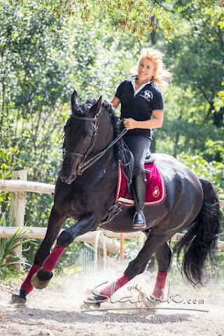 Centro Sportivo Equestre"Il Corsiero Italiano"asd