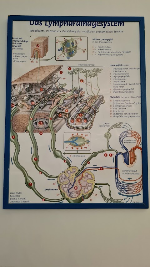 Centro di Cura per il Linfedema