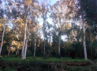 Comitato Promotore Parco della Cellulosa