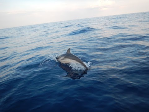 Faro Diving Center Catania