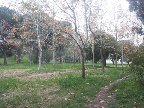 Parco di Piscine Di Torrespaccata