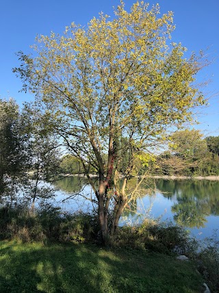 Parco Ignazio Michelotti