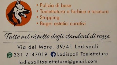 Ladispoli toelettatura