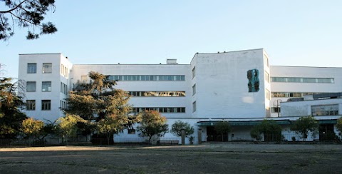 Istituto Tecnico Statale Commerciale e Geometra "Loperfido - Olivetti"